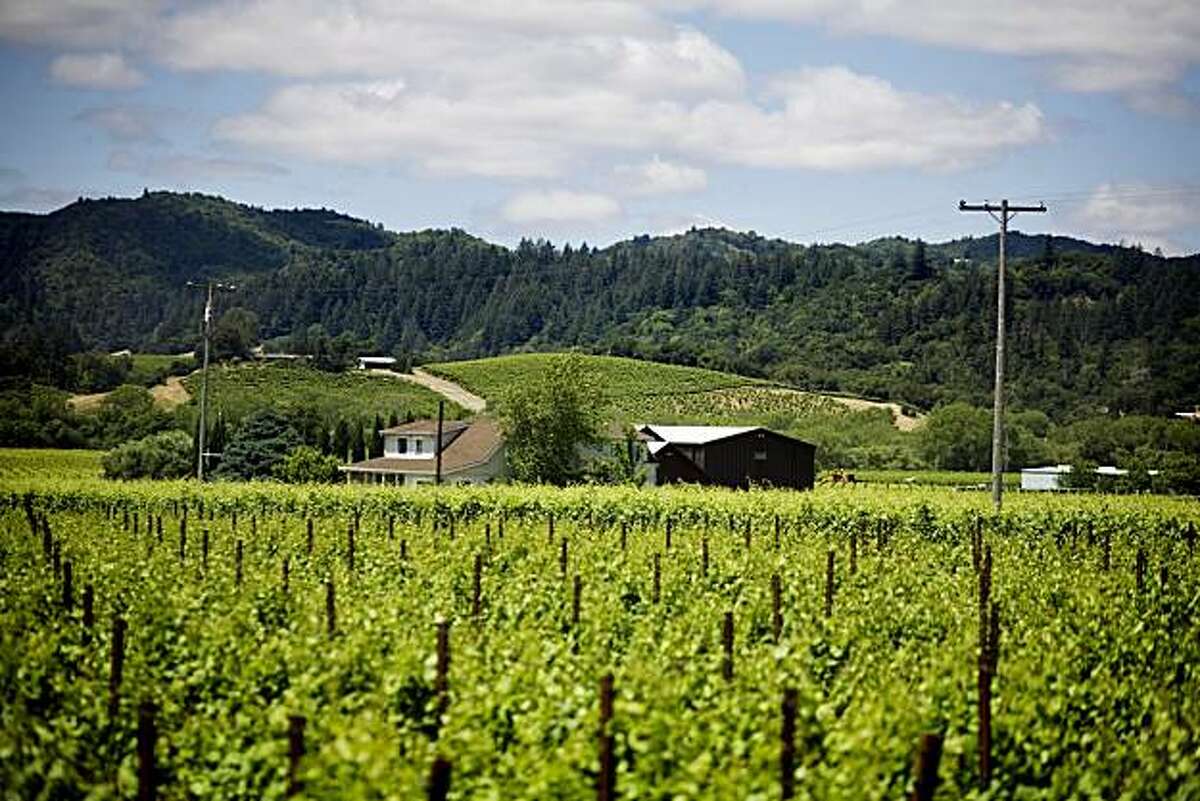 Healdsburg, a sweet spot in the Wine Country