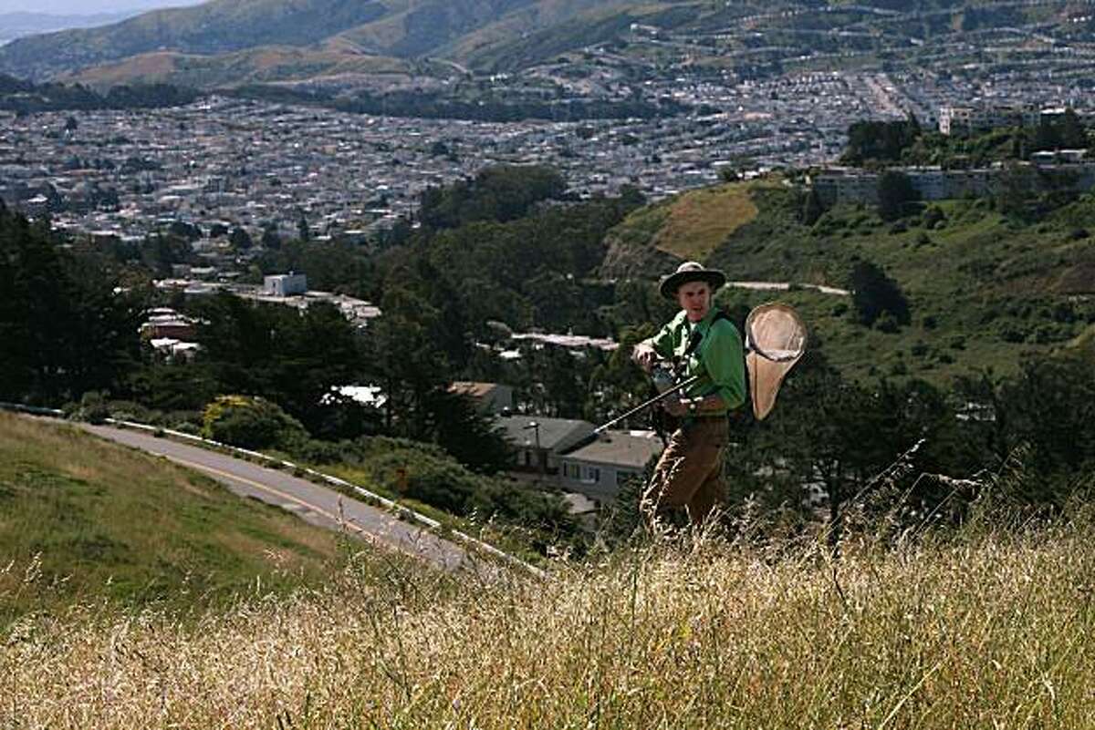 Lepidopterist Liam O'Brien searching for the mission blue butterfly on Twin Peaks in San Francisco, Calif., on Thursday, May 6, 2010. The endangered species is from the Lycaenidae family and it's wingspan is 1 to 1.5 inch