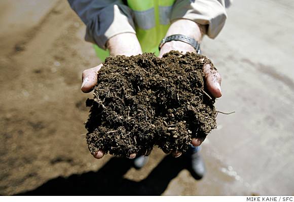 What Happens To Food Scraps