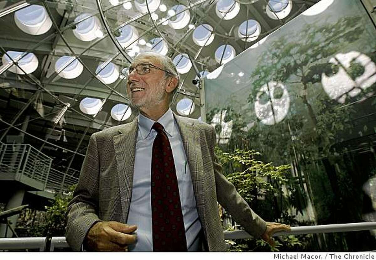Renzo Piano, the architect of the California Academy of Sciences in Golden Gate Park in San Francisco, Calif. is in town to survey the just completed project, Thursday Sept. 25, 2008. Piano inside the Rain Forest Dome, a centerpiece of the the new building.