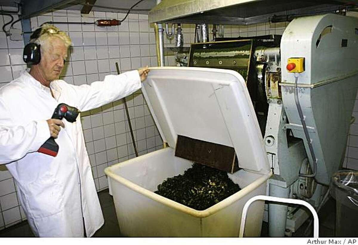 V Heny Masselink shows extracted algae at an algae farm in Borculo, east Netherlands, Thursday, Sept. 4, 2008. The algae from an outdoor pool is made into animal feed, skin preparations, biodegradable plastics, and with increasing interest, biofuel. Experts say algae oil may one day be refined into high-grade kerosene for aviation fuel to power jet aircraft. But most believe it will be years, maybe a decade, before this simplest of all plants can be commercially processed for fuel. (AP Photo/ Arthur Max)