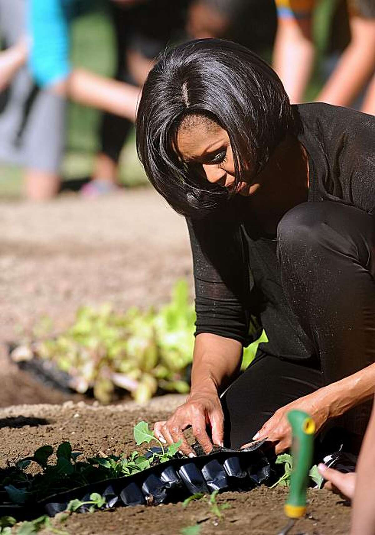 First lady Michelle Obama gets her hands dirty as she plays host to the Spring Garden Planting in the White House Kitchen Garden at the White House in Washington, D.C., on Wednesday, March 31, 2010. (Olivier Douliery/Abaca Press/MCT)