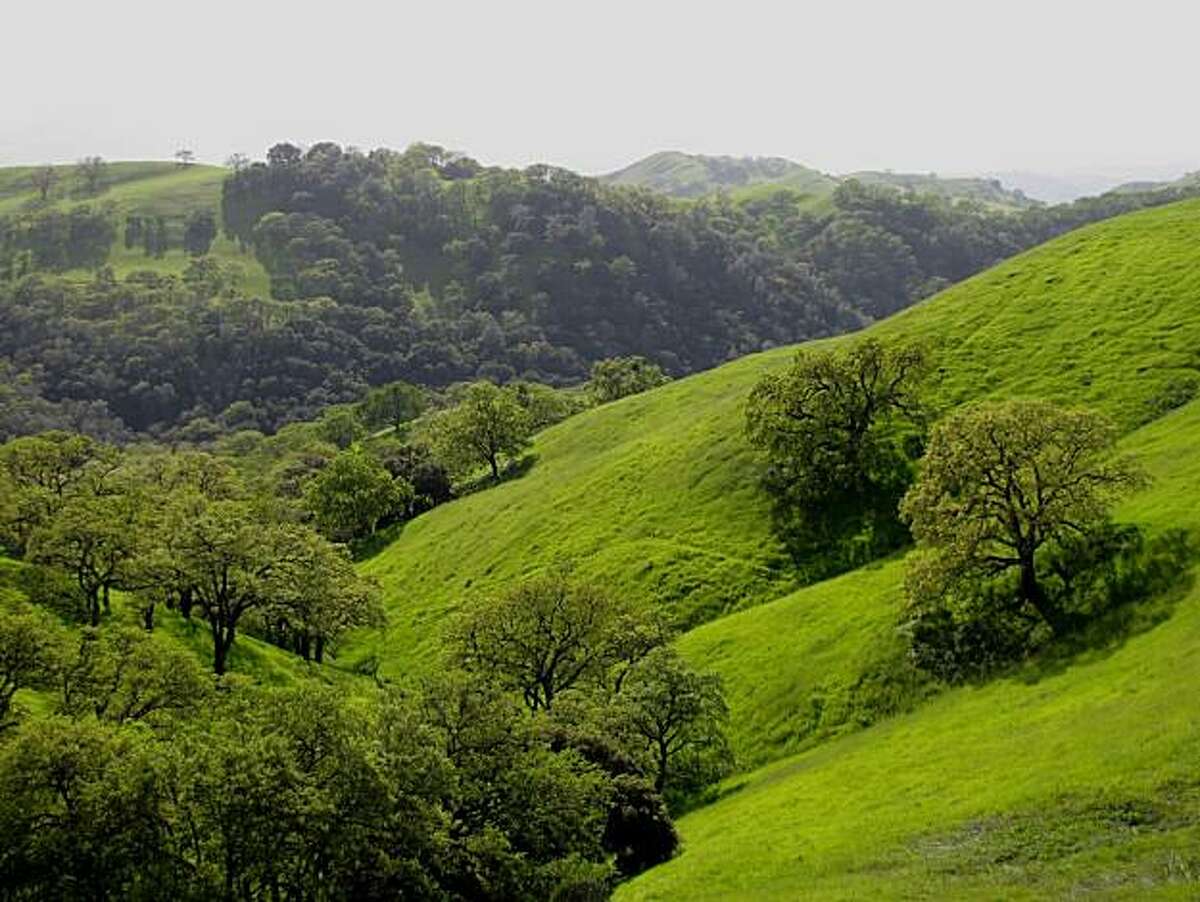 Mount Diablo State Park
