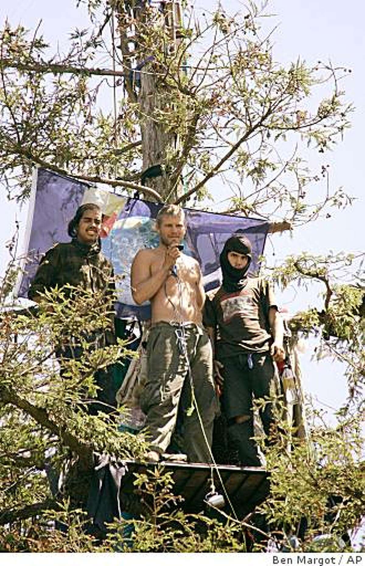 **CORRECTS DAY TO TUESDAY** Protestors who identified themselves, from left, as Mondo, Shem, and David, conduct an interview with a reporter via cell phone while standing near the top of a redwood tree Tuesday, Aug. 26, 2008, in Berkeley, Calif. Protestors have been living in a grove of oak trees that the university wants to cut down so it can build a new sports training center next to its football stadium for over a year. (AP Photo/Ben Margot)