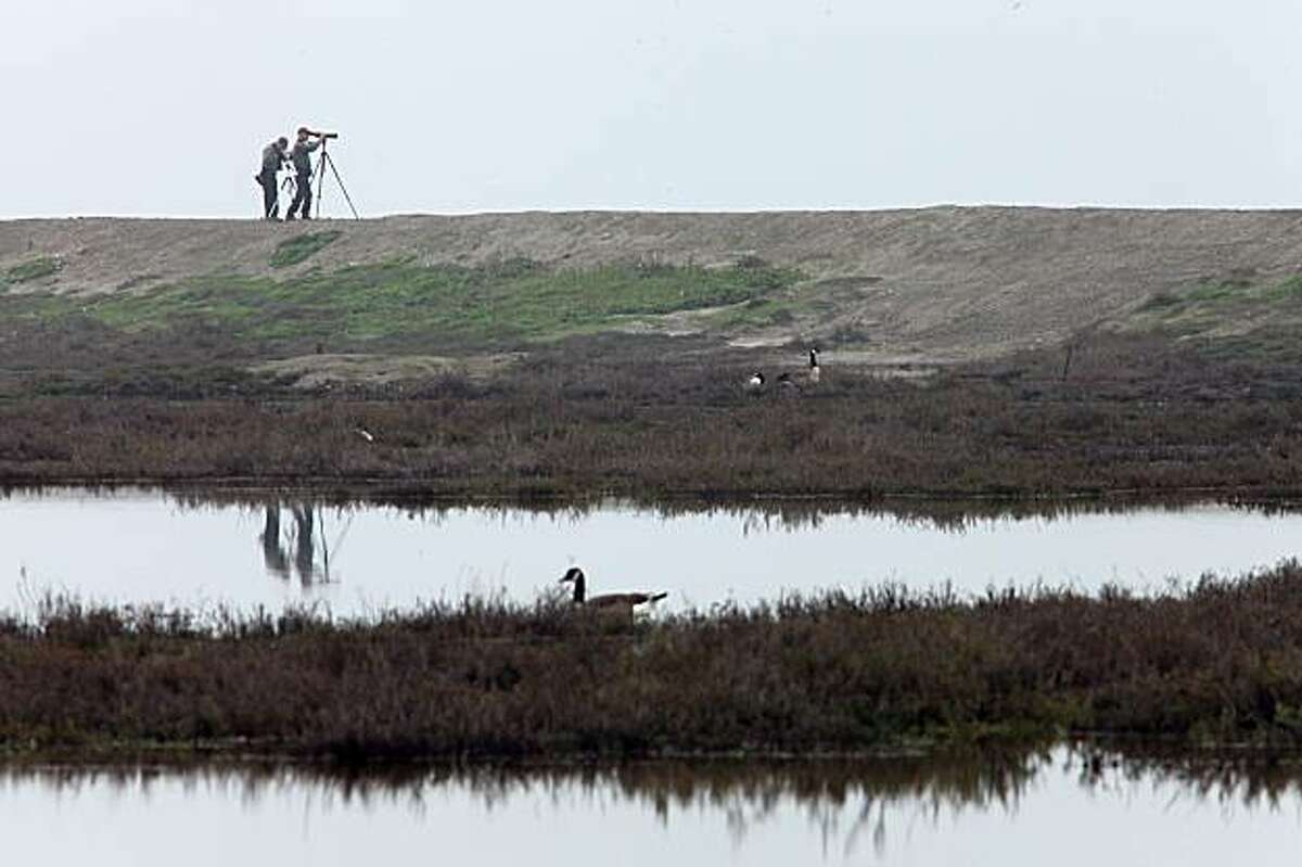 Looking at the New Chicago Marsh with bird watchers in the background, which is part of the South Bay Salt Pond Restoration Project encompassing a 300-acre pond near Alviso, Ca., on Tuesday, February 16, 2010.