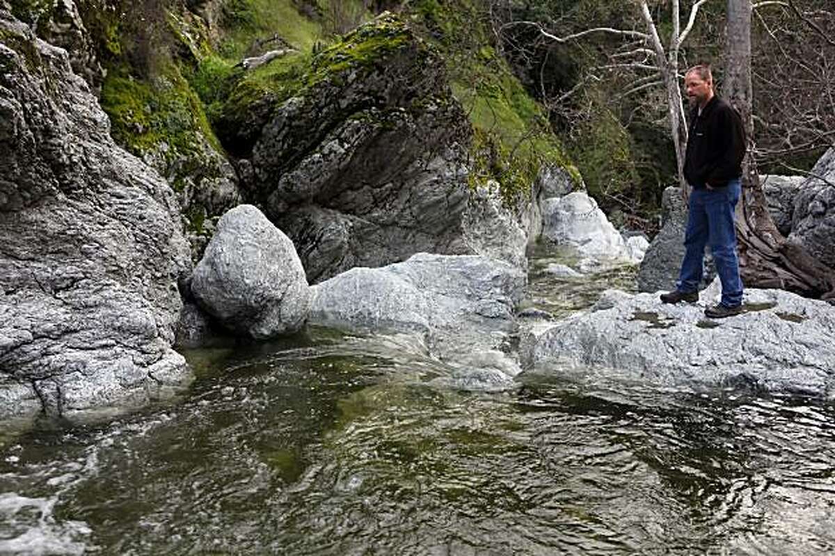Jeff Miller, director of the Alameda Creek Alliance, looks down to where Alameda Creek flows through Sunol Regional Wilderness on Wednesday, February 10, 2010.State officials decided it was time to ban fishing downstream from the San Antonio, Calaveras and Del Valle reservoirs. The decision is an attempt to protect threatened steelhead trout and remnant populations of native rainbow trout. Steelhead, coho and chinook salmon once swam up Alameda Creek in huge numbers, but dams and various blockages and diversions cut off their migratory route.
