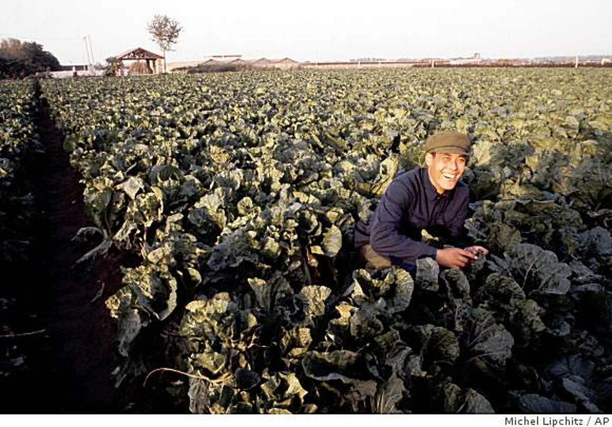 Chinese worker in field smiling in Beijing, the Capital of China, 1980. (AP Photo/Michel Lipchitz).(AP Photo)