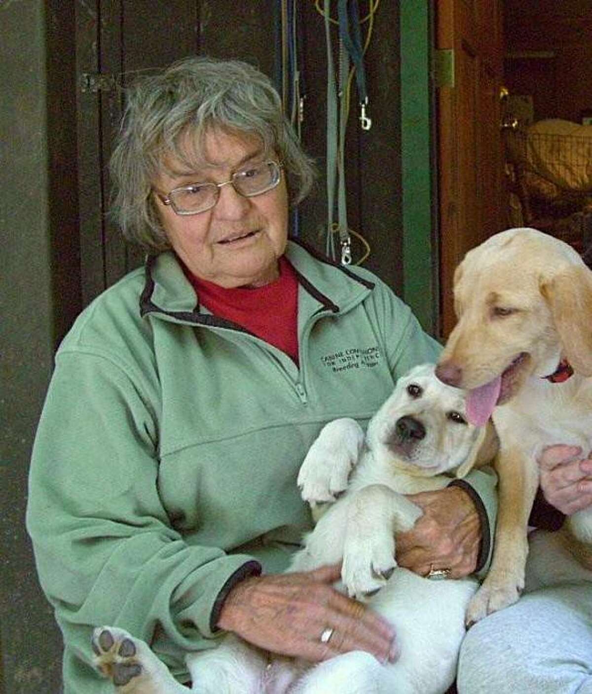 Search crews are looking for a 77-year-old woman, Silvia Lange, who disappeared at Point Reyes National Seashore over the weekend.