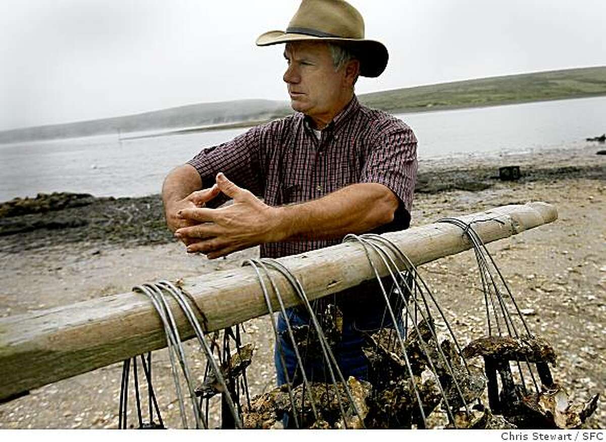 Park Service skewed data on oyster farm