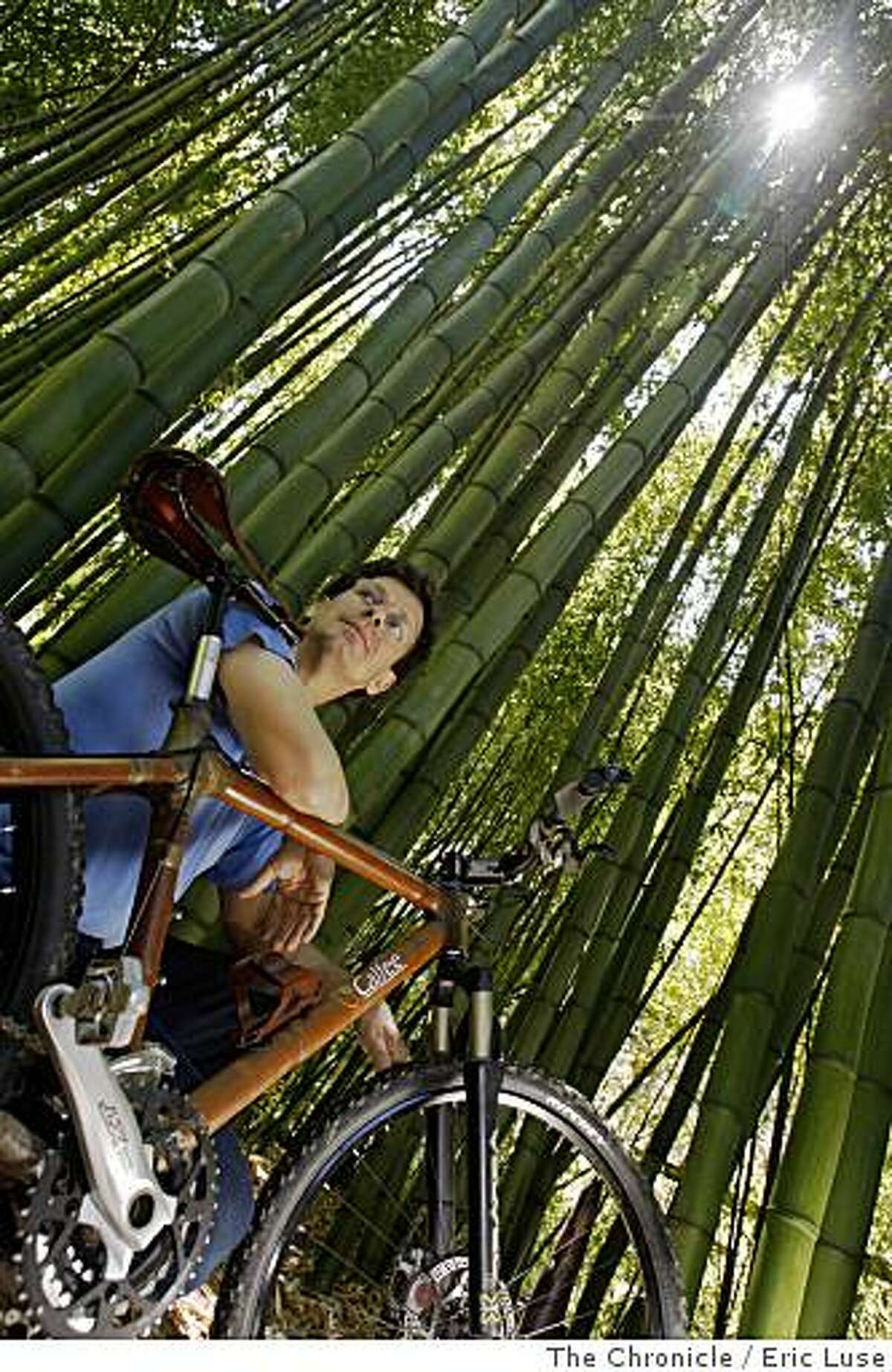 craig calfee bamboo bike