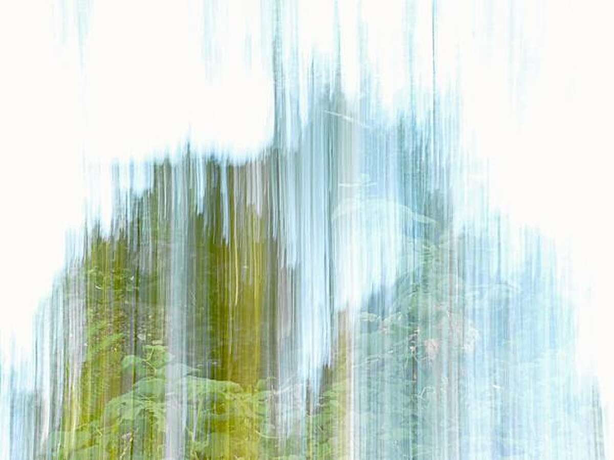 "Fern Blur" (2009) digital archival print by Joshua Churchill 12" x 16", edition of 5
