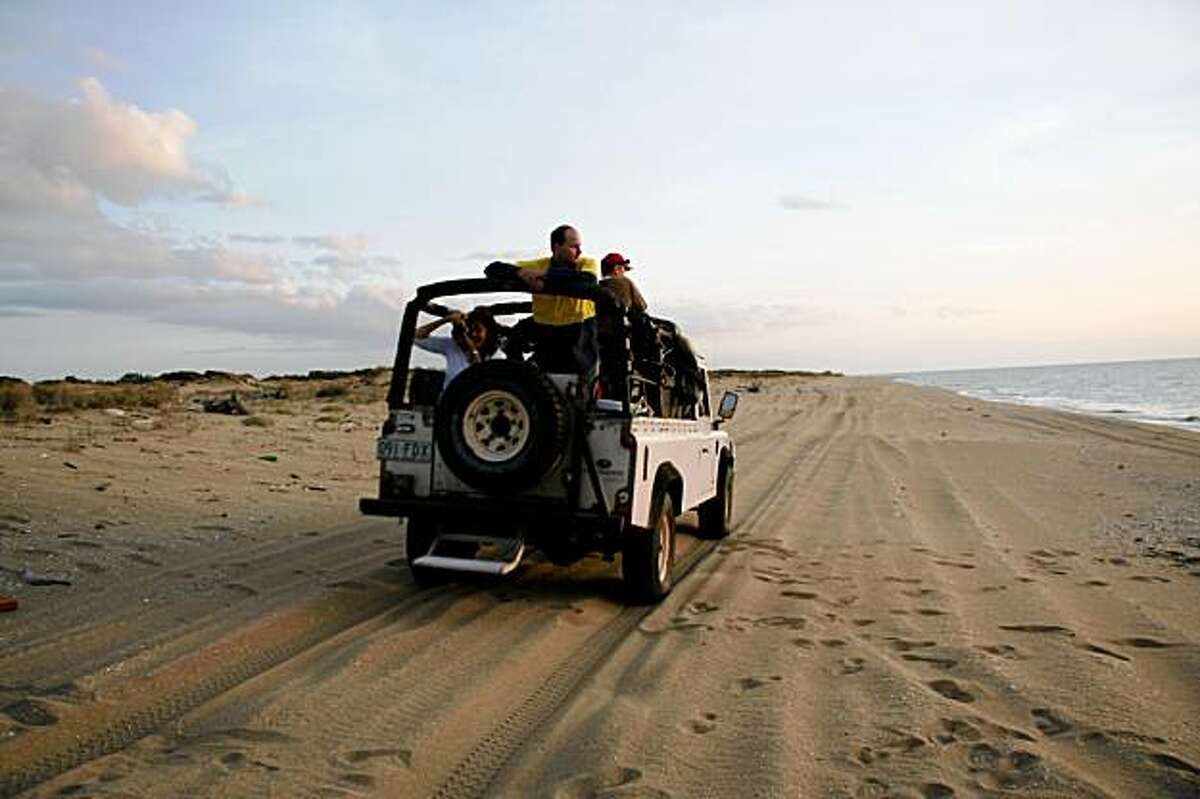 Protecting the turtles in Australia