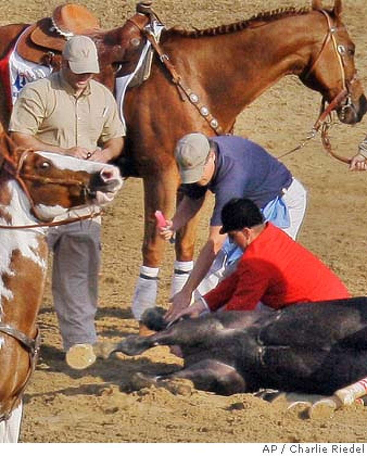 Horse racing comes under fire after death of Eight Belles