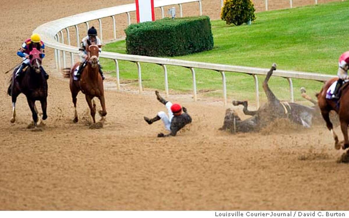 Horse racing comes under fire after death of Eight Belles