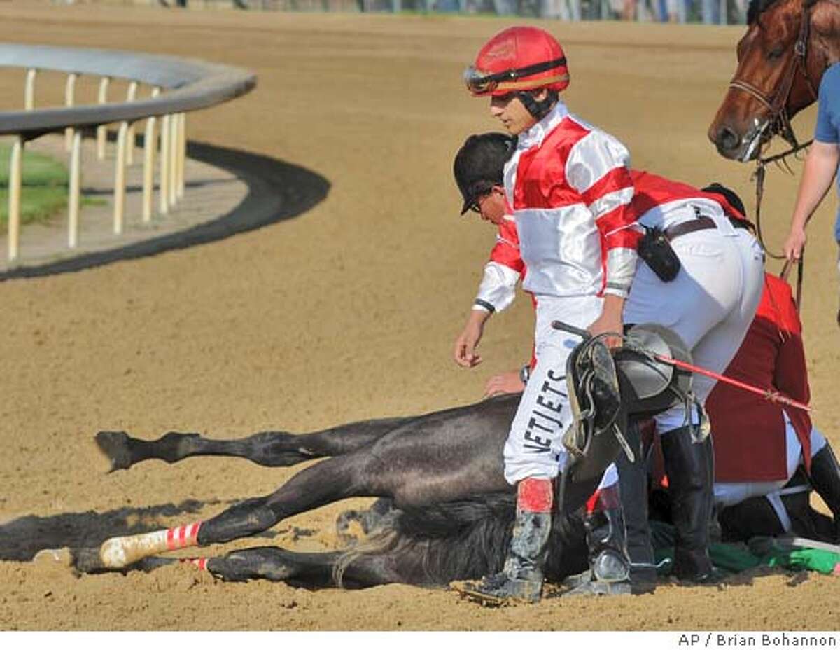 Horse racing comes under fire after death of Eight Belles