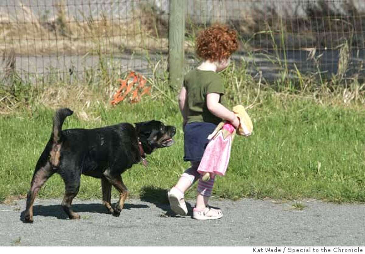 ###Live Caption:Molly follows her young owner Francesca Berlow, 2 and 1/2, at Point Isabel Regional Shoreline Park in Richmond, Calif. on Monday, April 28, 2008. Photo by Kat Wade / Special to the Chronicle###Caption History:Molly follows her young owner Francesca Berlow, 2 and 1/2, at Point Isabel Regional Shoreline Park in Richmond, Calif. on Monday, April 28, 2008. Photo by Kat Wade / Special to the Chronicle###Notes:Francesca Berlow (CQ, Father)###Special Instructions:Mandatory Credit for photographer and S.F. CHRONICLE/No Sales - mags out