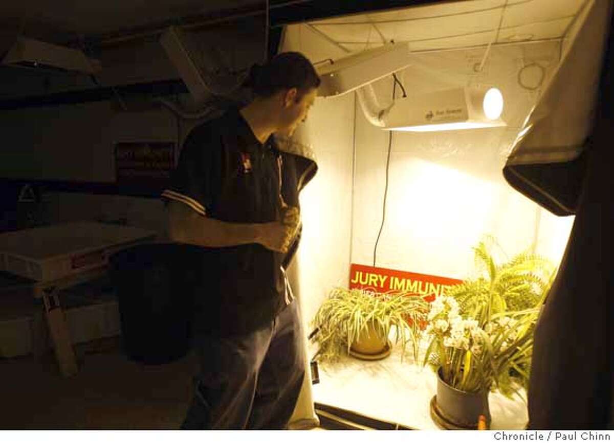 ###Live Caption:Ilia Gvozdenovic, an instructor at Oaksterdam University, monitors house plants in an indoor growing closet at the school's lab in Oakland, Calif., on Tuesday, April 15, 2008. The curriculum covers legal and horticultural issues for people interested in operating medicinal marijuana clubs. Photo by Paul Chinn / San Francisco Chronicle###Caption History:Ilia Gvozdenovic, an instructor at Oaksterdam University, monitors house plants in an indoor growing closet at the school's lab in Oakland, Calif., on Tuesday, April 15, 2008. The curriculum covers legal and horticultural issues for people interested in operating medicinal marijuana clubs. Photo by Paul Chinn / San Francisco Chronicle###Notes:Ilia Gvozdenovic###Special Instructions:MANDATORY CREDIT FOR PHOTOGRAPHER AND S.F. CHRONICLE/NO SALES - MAGS OUT
