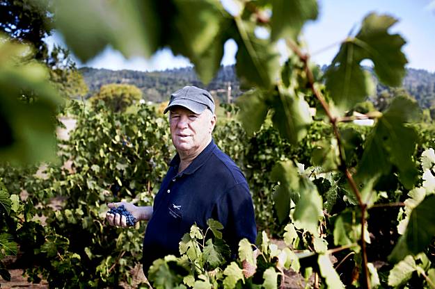 Much-denigrated Petite Sirah gets more respect