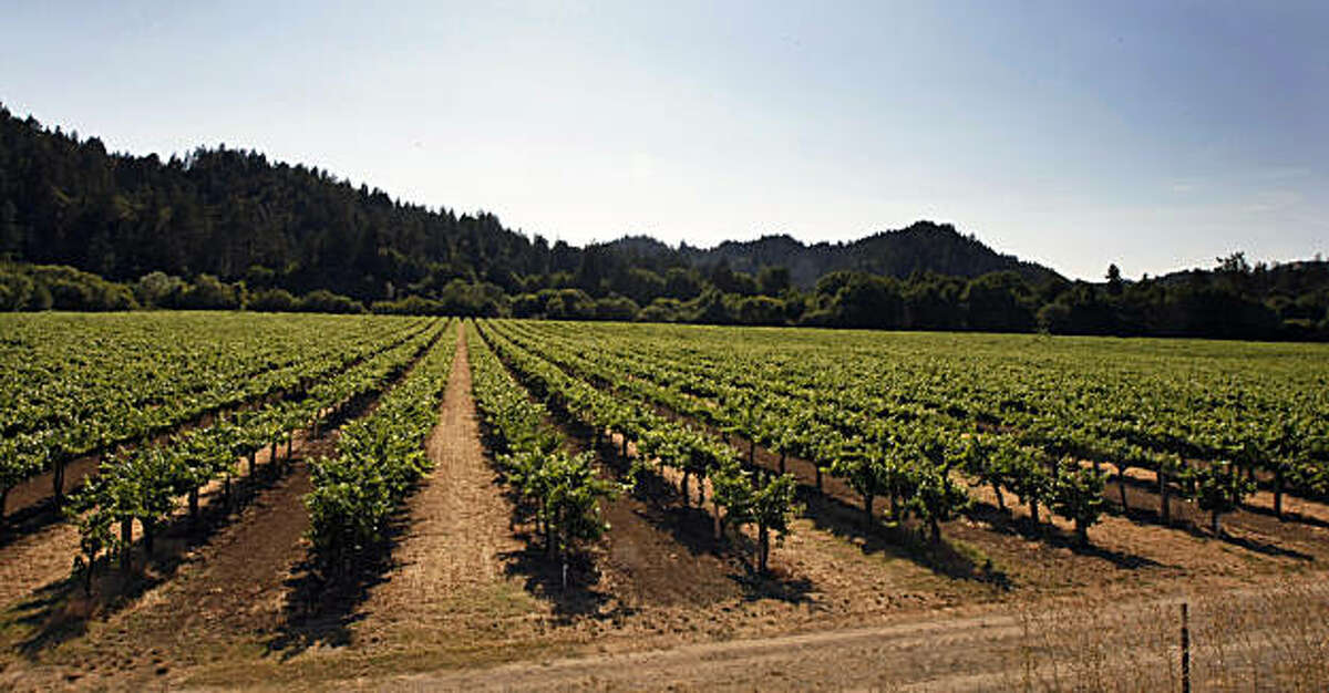 Family squabble tarnishes Korbel wine empire