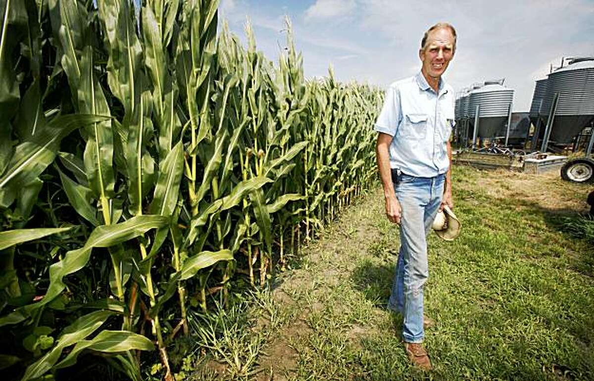 In this July 14, 2009 photo, farmer Keith Van Waardhuizen stands near a cornfield on his farm in Oskaloosa, Iowa.