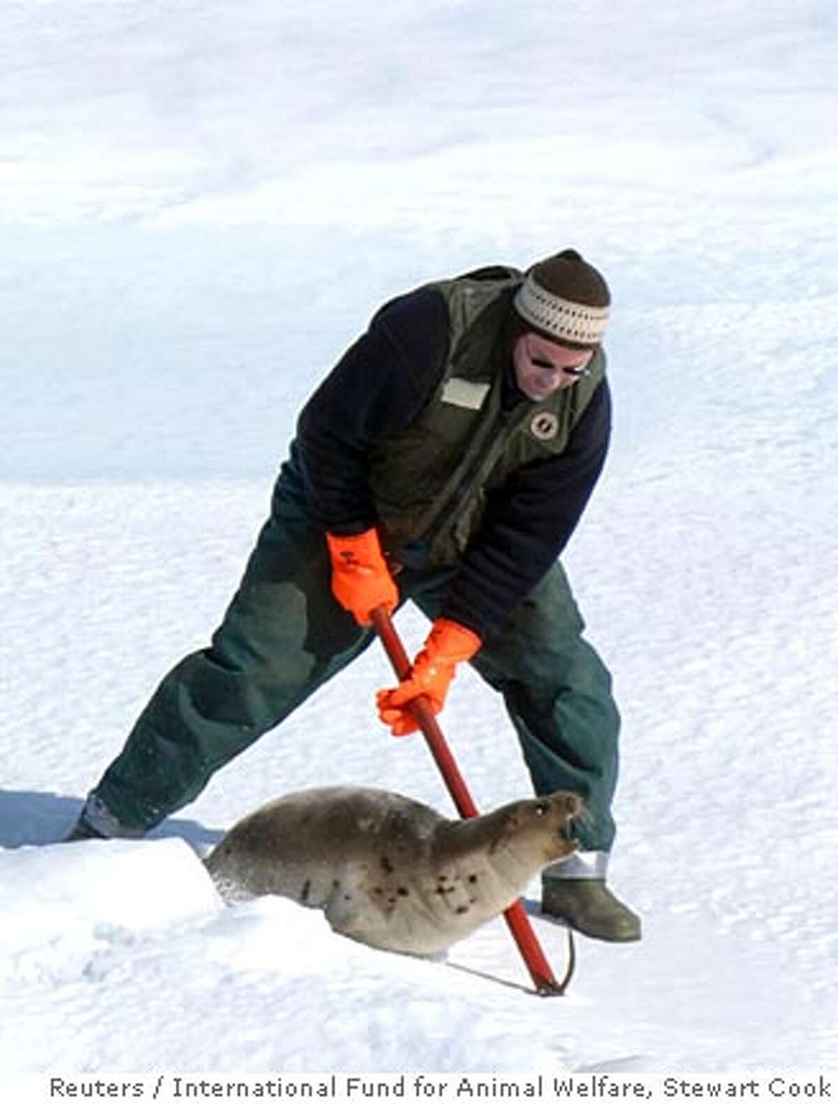ATTENTION EDITORS - ADDING RESTRICTIONS A hunter clubs a harp seal on the opening day of s 2008 commercial seal hunt in the Gulf of St. Lawrence March 28, 2008. REUTERS/International Fund for Animal Welfare/Stewart Cook/Handout (CANADA) MANDATORY CREDIT. NO SALES. NO ARCHIVES. FOR EDITORIAL USE ONLY. NOT FOR SALE FOR MARKETING OR ADVERTISING CAMPAIGNS.