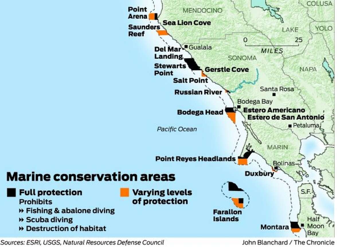 State creates network of marine reserves