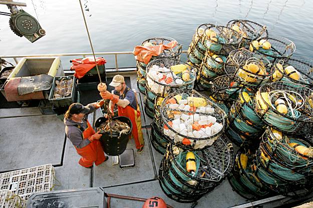 Tips on where to buy fresh catch at the docks