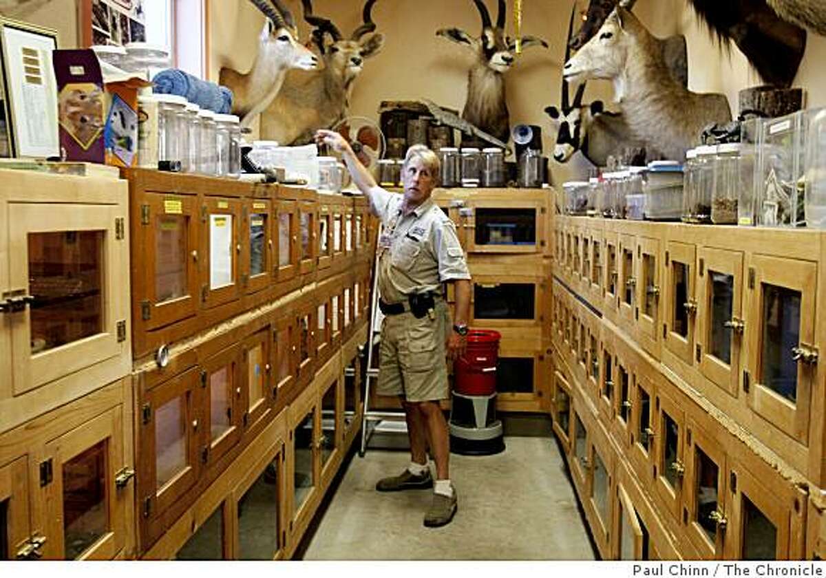 Reptile wrangler lives to save beloved snakes