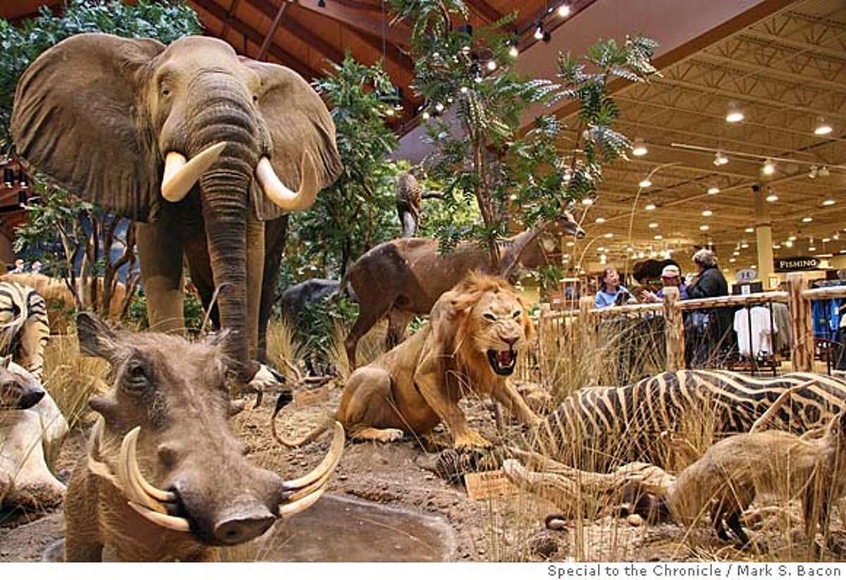 HUNTERFISHERMAN PARADISE IN NEVADA