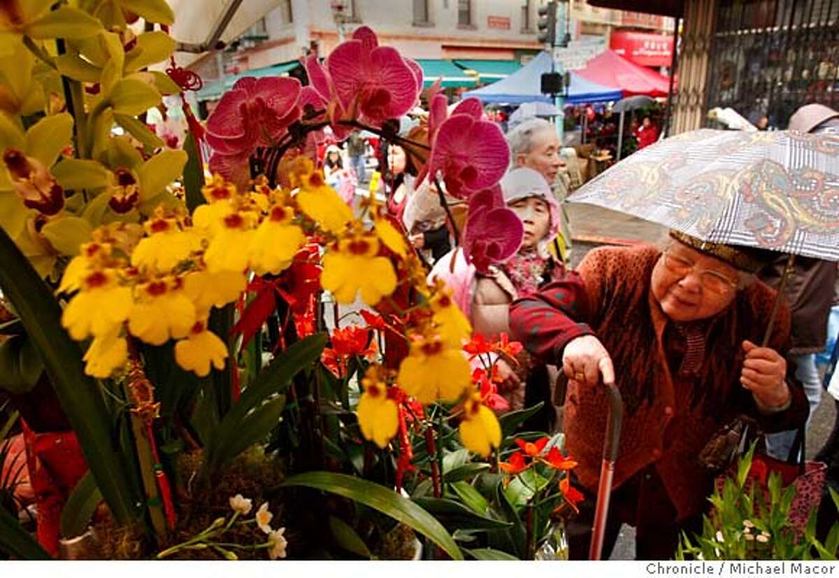 chinesenewyear_122_mac.jpg Searching for just the right plants and flowers for the New Year. (She wouldn't give her name) The falling rain didn't deter hundreds of people to jam Grant St. in chinatown, kicking off the festivities leading up to Chinese New ear. Flowers, plants, dance and more kept the crowds busy. preparing for the upcoming New Year festivities. Photographed in, San Francisco, Ca, on 2/2/08. Photo by: Michael Macor/ San Francisco Chronicle Mandatory credit for Photographer and San Francisco Chronicle No sales/ Magazines Out