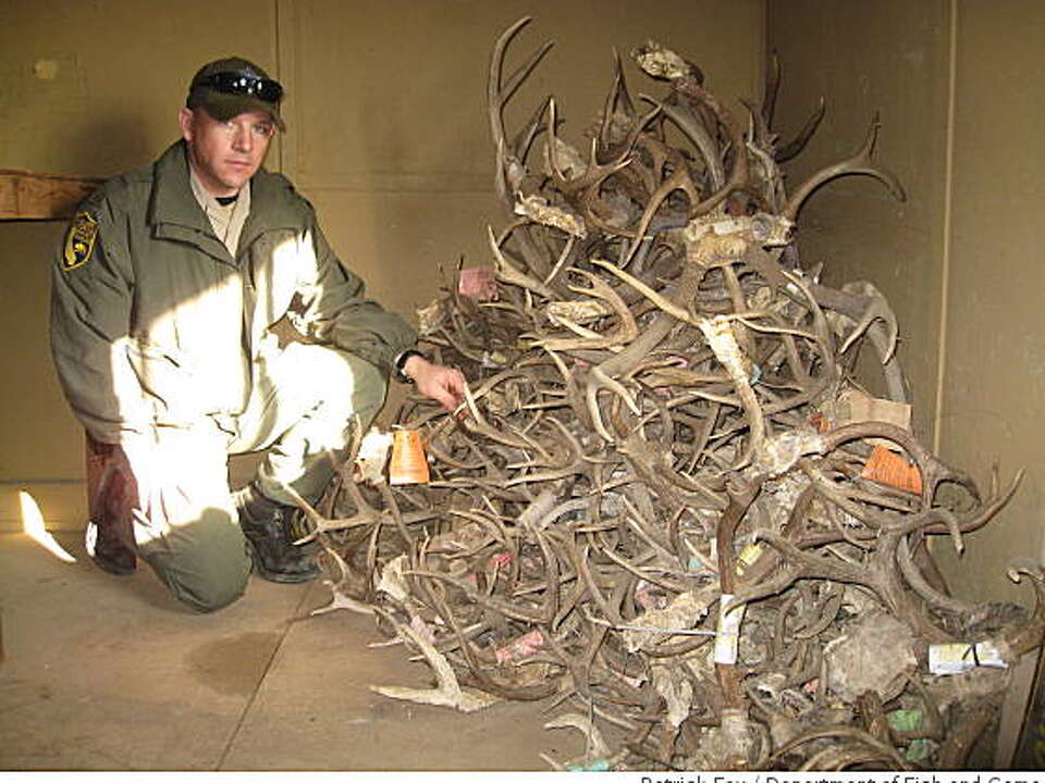 Game wardens don't need a warrant to stop cars