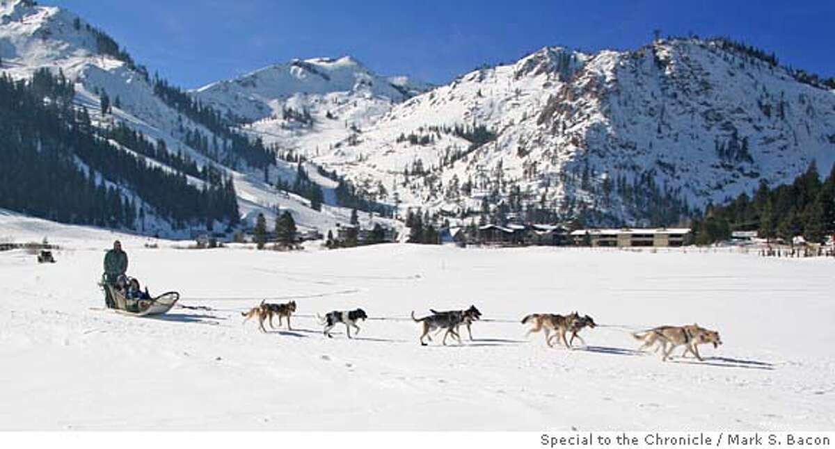 Tahoe dogsled tours offer unique perspective on Sierra scenery