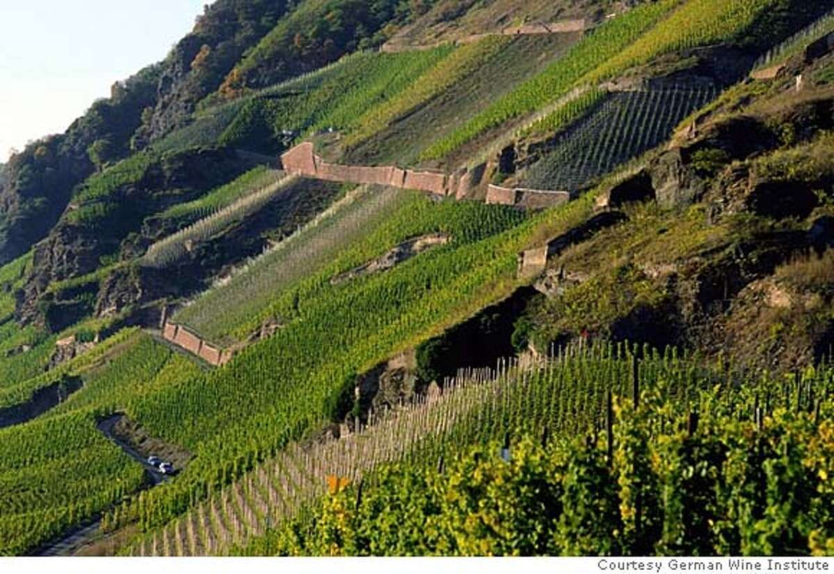 Riesling gains popularity, fills up the world's wineglass