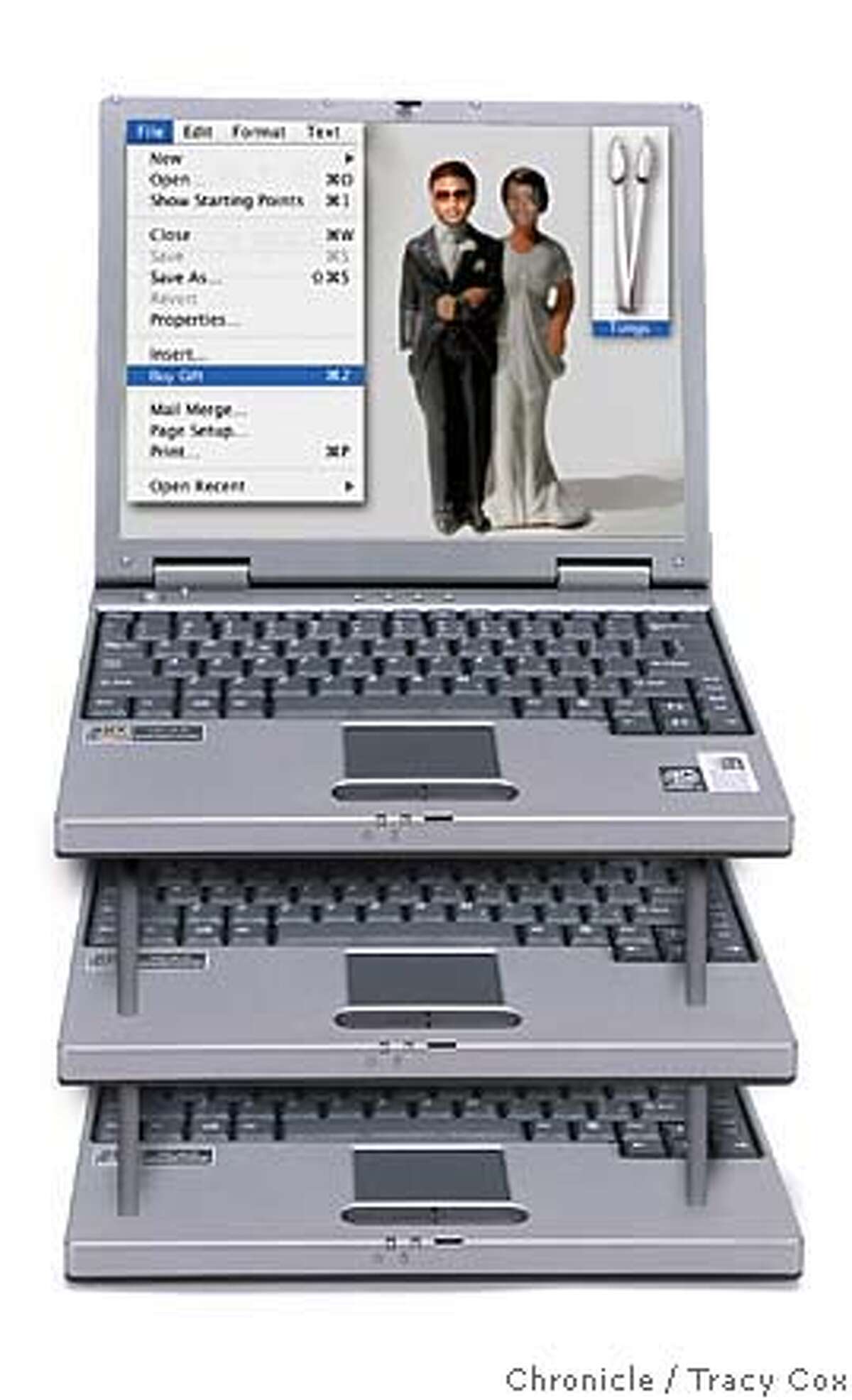 Dell Inspirion 2000 laptop For Peter Hartlaub story on technology ruing weddings. Sent Usher and his bride an asparagas clamp for gift from Crate and Barrel
