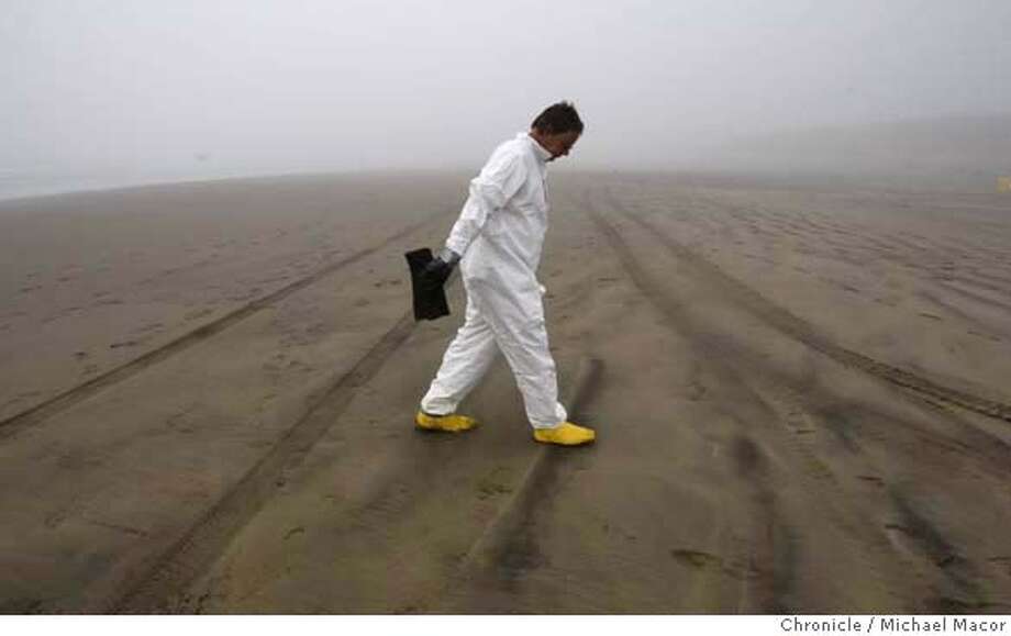 Hair And Mushrooms Create A Recipe For Cleaning Up Oily Beaches