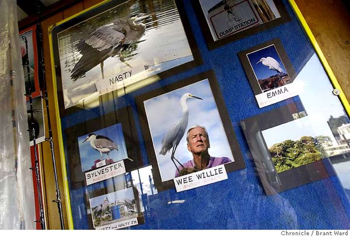 Land Loch Lomond Marina Land Loch Lomond Marina
