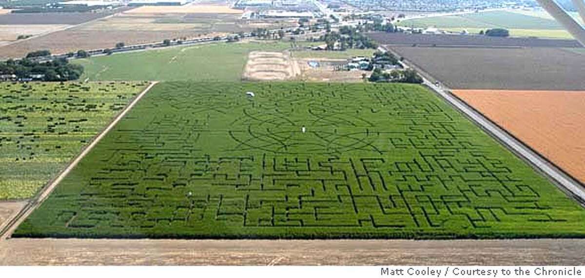 Getting lost in the Dixon corn maze is half the fun