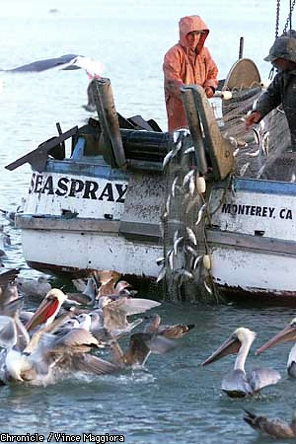 Fishery's Ebb Tide / With low quotas, meager hauls, fewer venture out