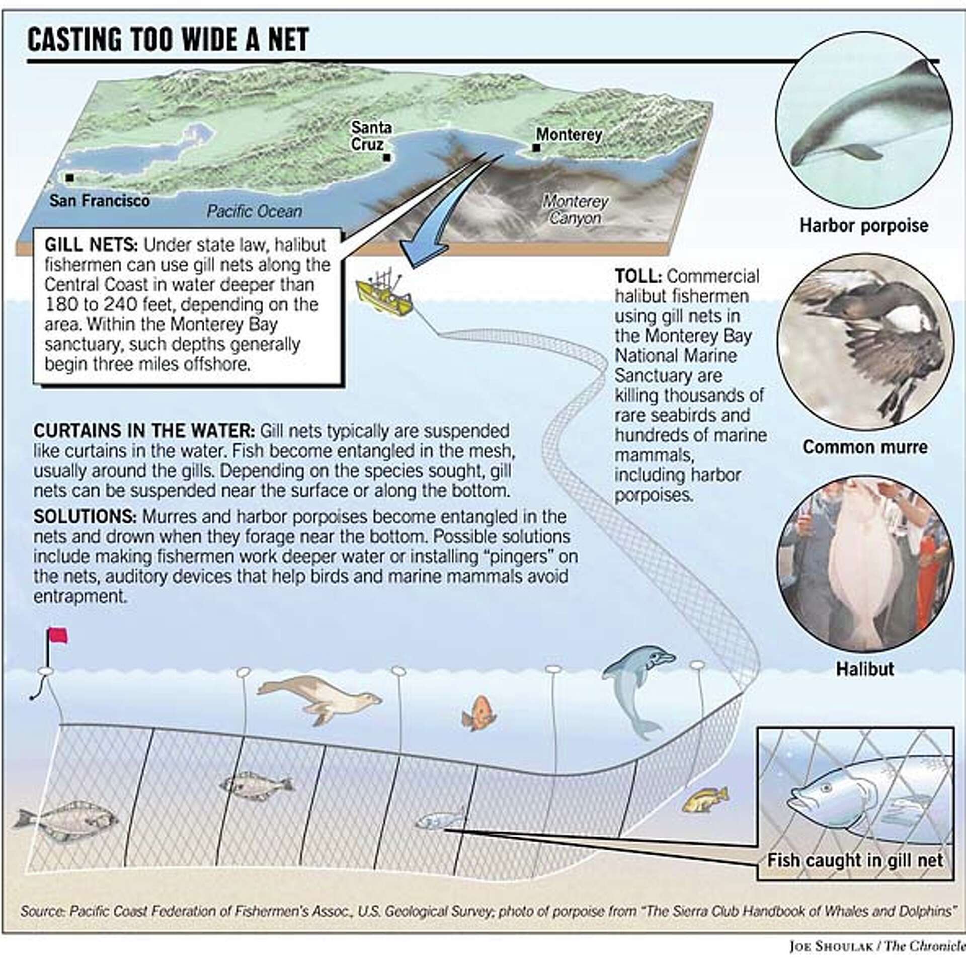 Commercial Gill-Net Ban Tightened in California / Move to protect wildlife made at end of season Commercial Gill-Net Ban Tightened in California / Move to protect wildlife made at end of season
