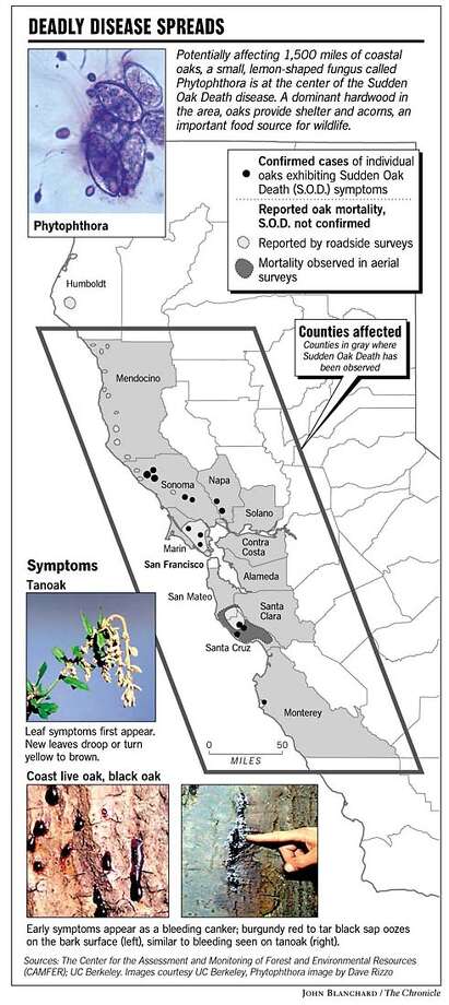 Thousand cankers disease survey maps