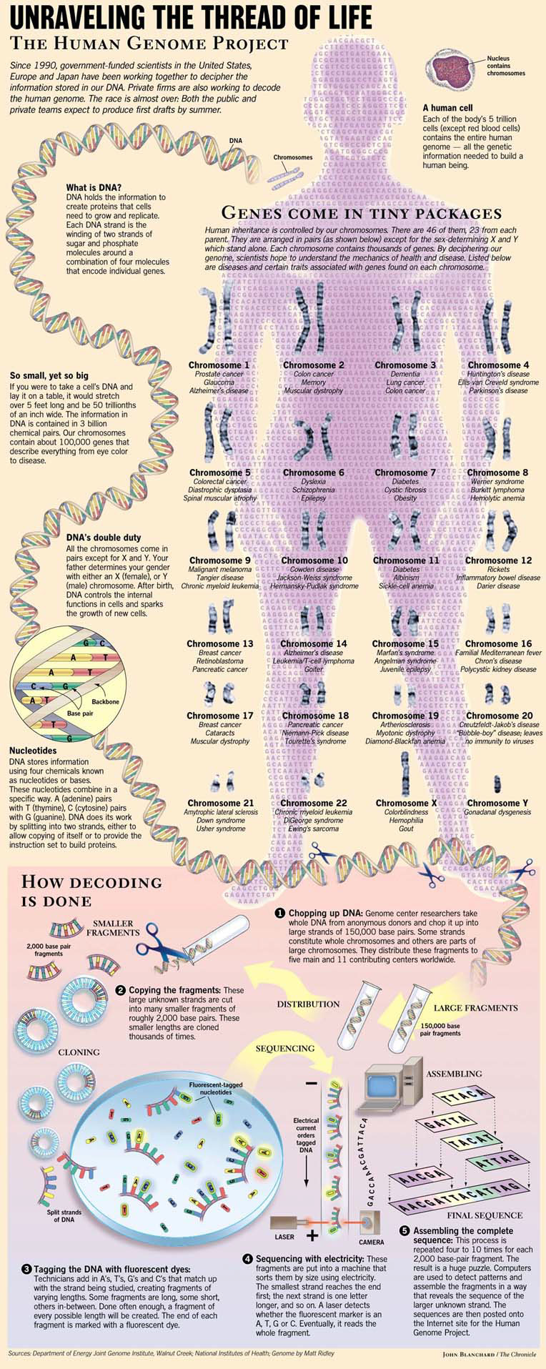 オープニング 大放出セール of verge on groups Two / Age Gene The reading entire the 洋書