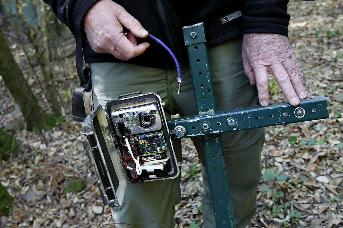 Rodney Jackson on a mission to save the snow leopard