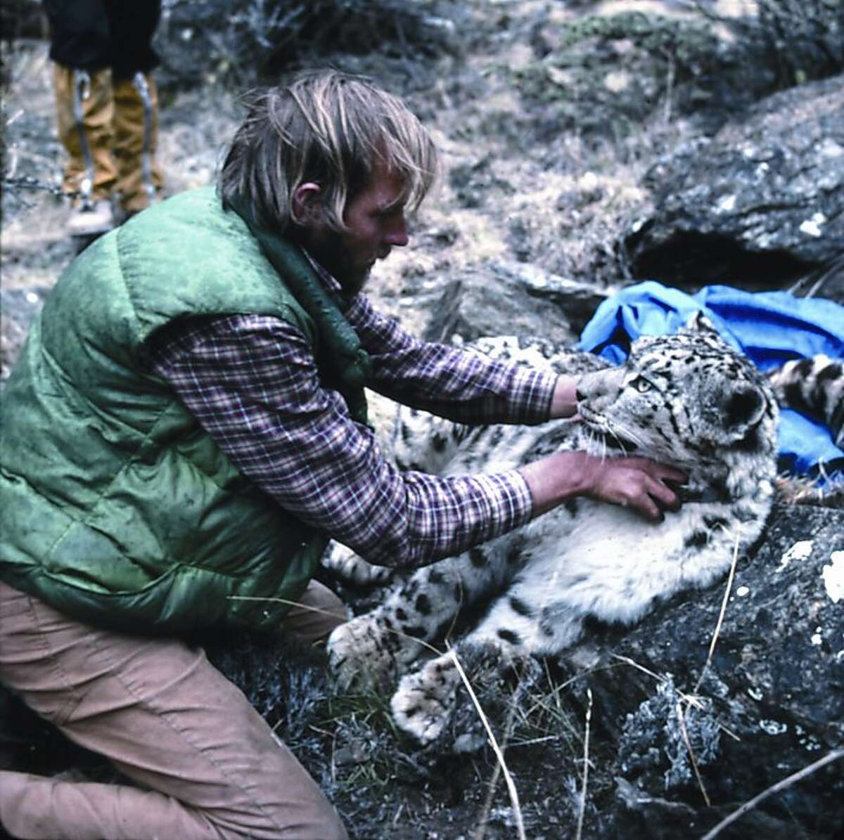 Rodney Jackson on a mission to save the snow leopard
