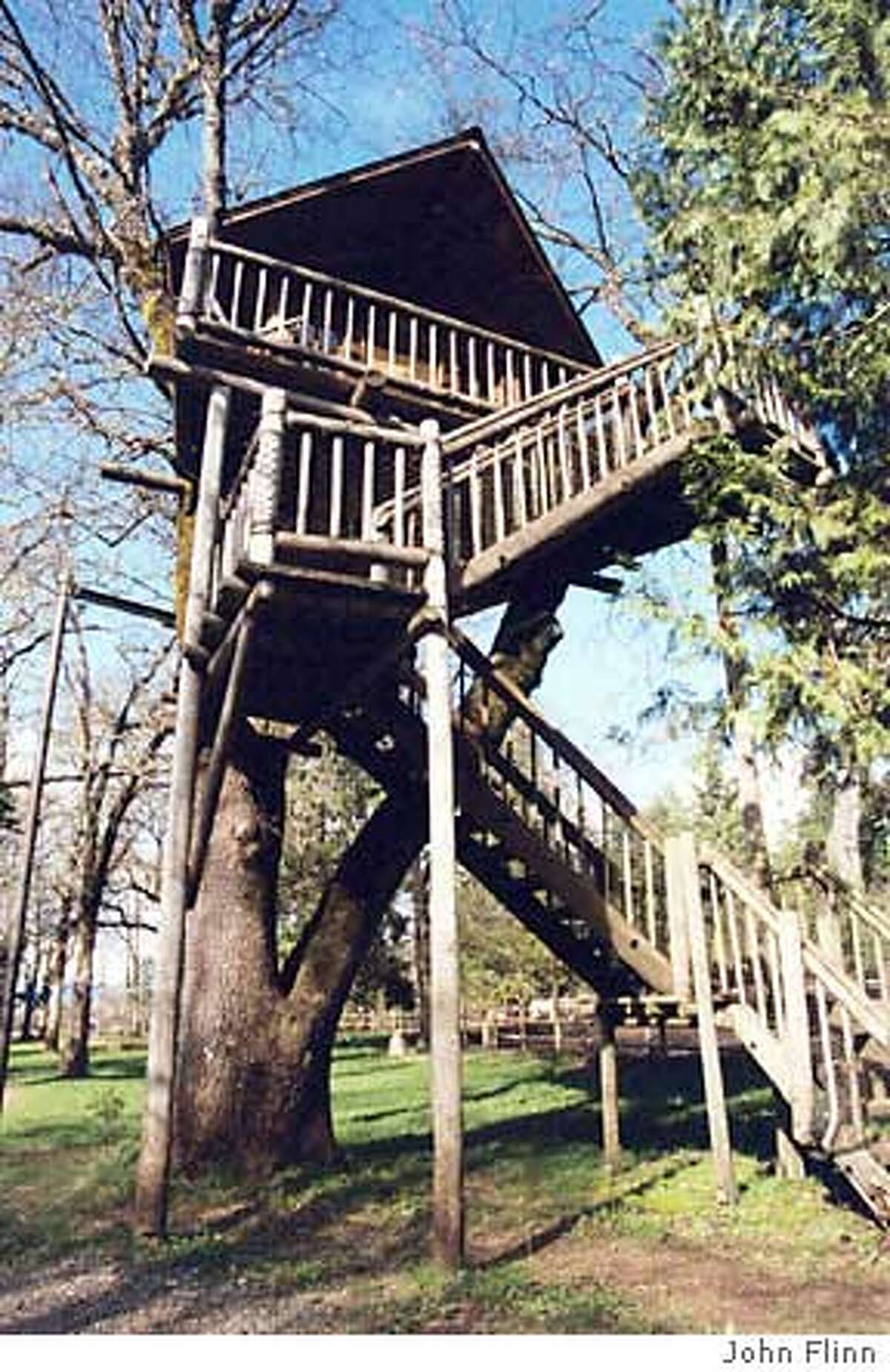 Branching out at a bed and barkfest / Oregon treesort offers lofty lodging