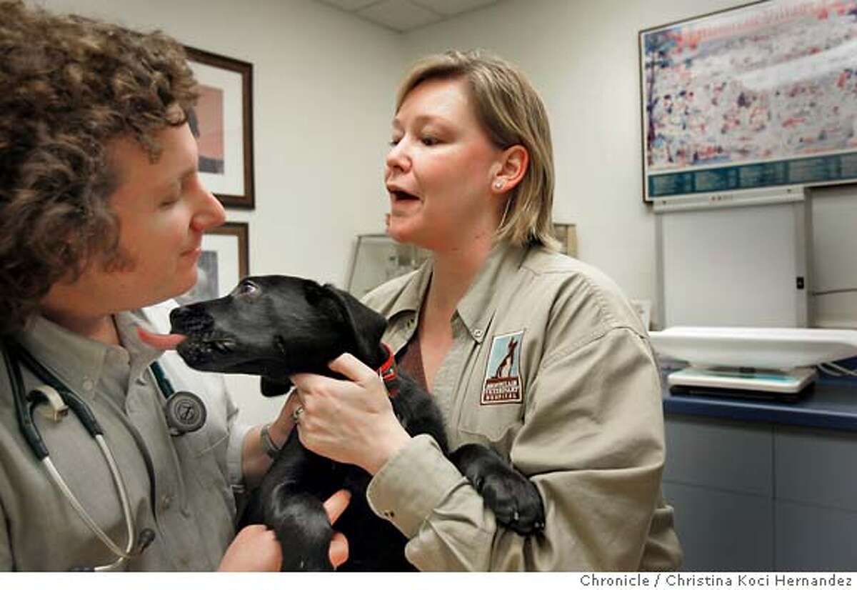 CHRISTINA KOCI HERNANDEZ/CHRONICLE (R)Lee Richter, who owns the Montclair Veterinary Hospital with her husband, (L)Gary, with Black lab puppy, "Lenny" 11 weeks-old. Lee is in a monthly support group in Oakland called The Business Group. This picture should be a portrait of Lee at work at the vet clinic, with animals and possibly with her husband in the picture. Lee runs the administrative side of things and her husband is the vet/medical director. However, we should try to get a photo of her with some animals anyway. Story is about peer support groups for small business owners. Even at a small business, it can be lonely at the top and there are problems that the owner can't discuss with employees, spouse etc.