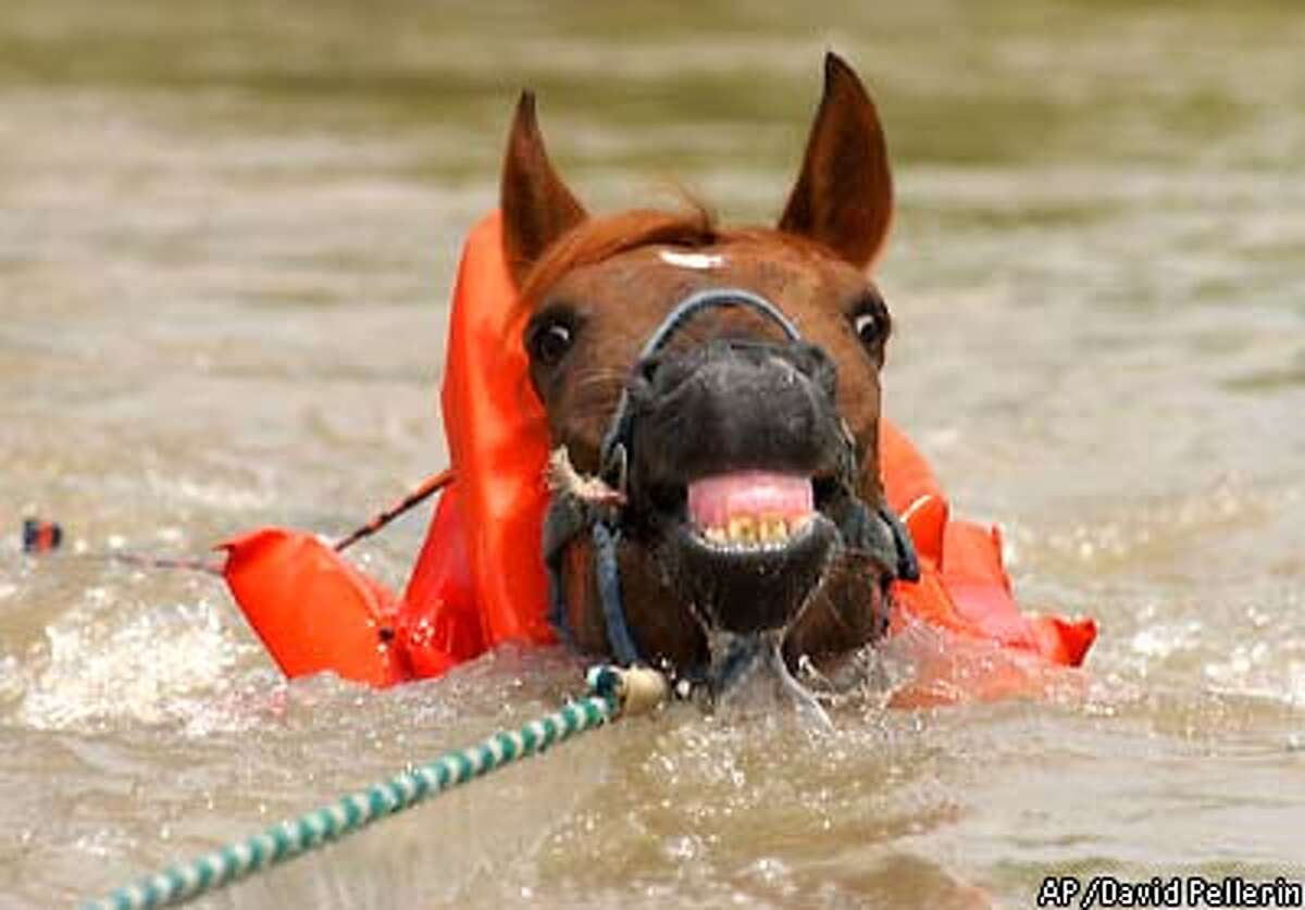 SFGate Day in Pictures