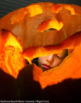 SFGate: Day in Pictures