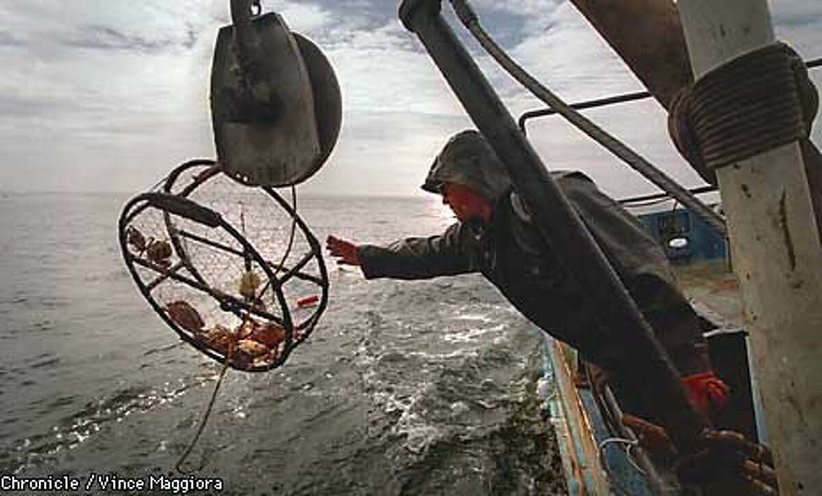 Dungeness in Danger / Overfishing may contribute to the decline of the ...