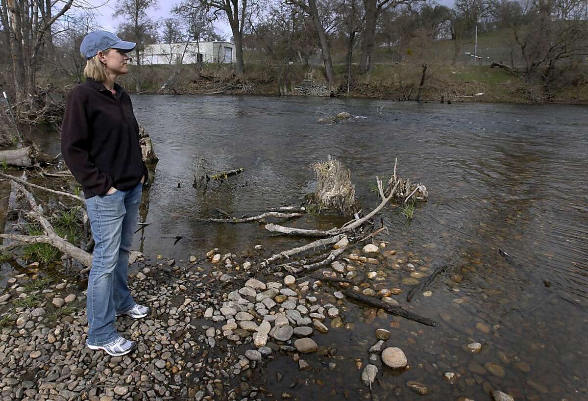 Mokelumne Hatchery Salmon Outnumber Wild Fish