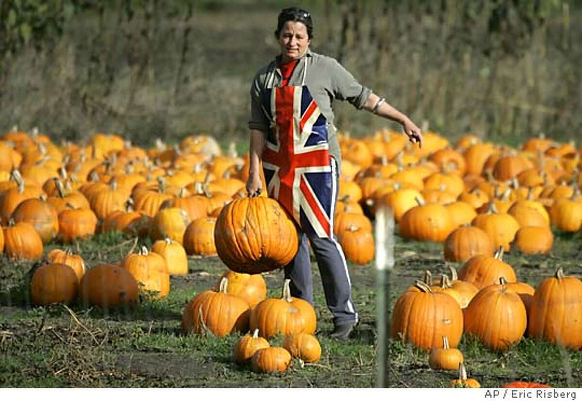 Annabelle Lenderink of Star Route Farms, wearing a Union Jack apron, picks out a pumpkin to serve as a decoration in preparation for the of Prince Charles and the Duchess of Cornwall in Bolinas, Calif., Saturday, Nov. 5, 2005. The prince will be visiting Star Route Farms Saturday for a luncheon and tour of the organic farm. (AP Photo/Eric Risberg)